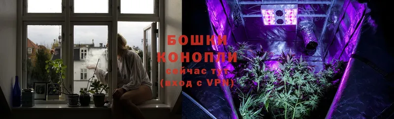 блэк спрут ССЫЛКА  Белинский  Конопля LSD WEED 